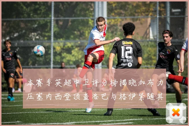 本赛季英超中卫评分榜揭晓加布力压塞内西登顶查洛巴与格伊紧随其后