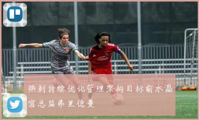 热刺持续优化管理架构目标前水晶宫总监弗里德曼